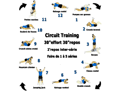 5 circuit-training de 12 exercices de renforcement musculaire