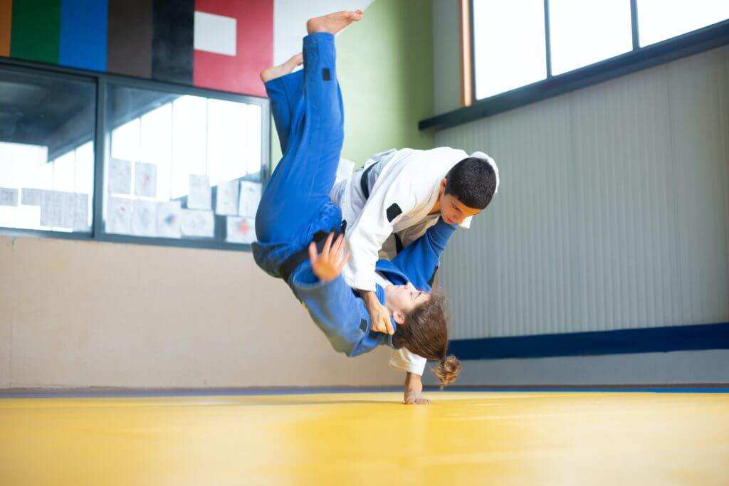 Prises de judo