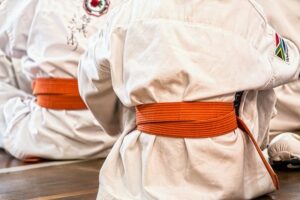 judo 1665606 640